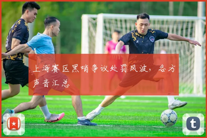 上海赛区黑哨争议处罚风波，各方声音汇总